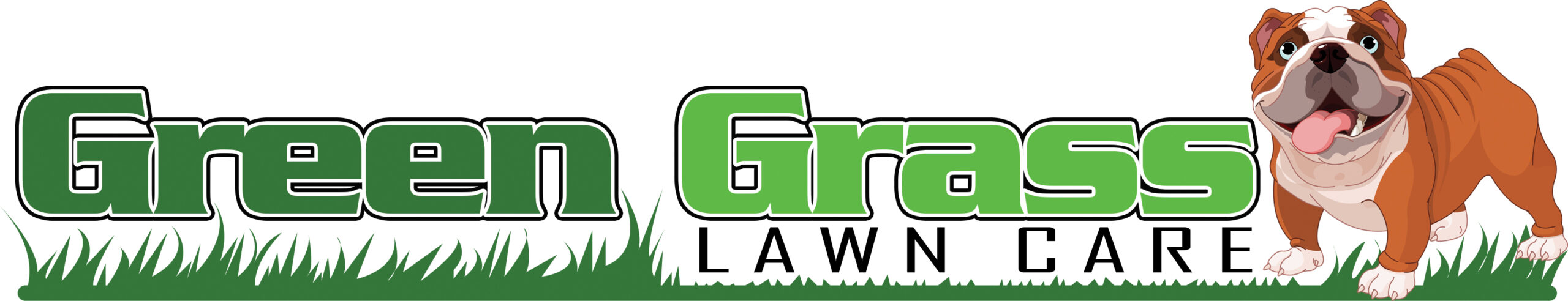 Green Grass Lawn Care
